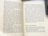 The Book of Runes: A Handbook for the Use of an Ancient Oracle:The Viking Runes