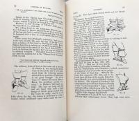 Costume in England: A History of Dress to the End of the Eighteenth Century Vol.1・2