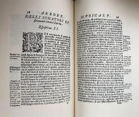 Dell'arbore musicale(Musurgiana12):
Facsimile dell'esemplare appartenuto a Padre Martini