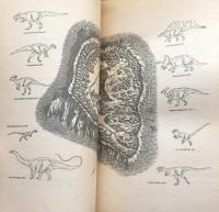 The Lost World: A Novel 