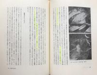 眼の隠喩：視線の現象学