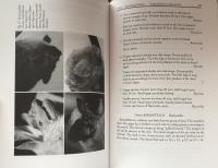 Mammals of the Holy Land