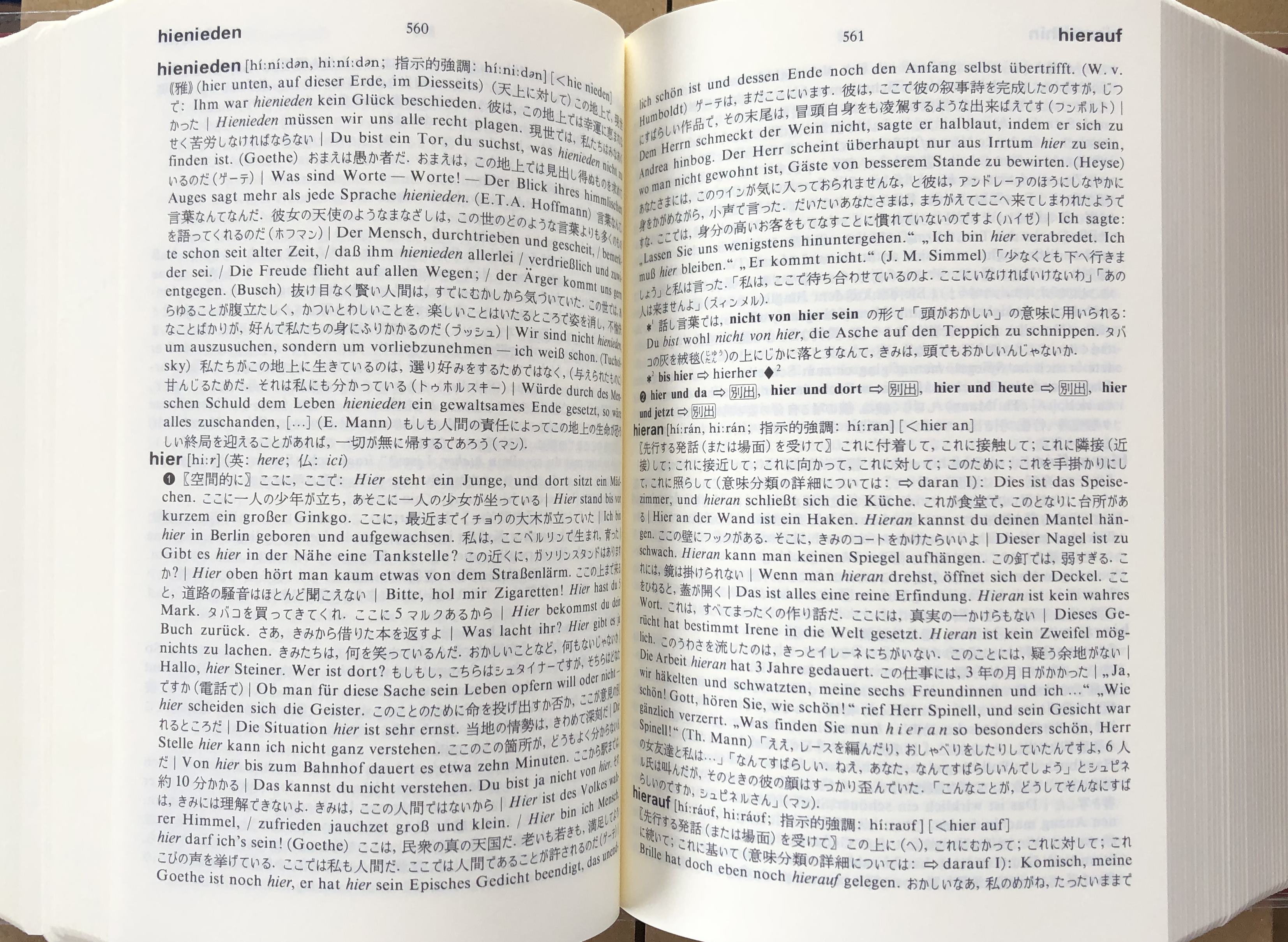 ドイツ語副詞辞典(岩崎英二郎 編) / 富士書房 / 古本、中古本、古書籍