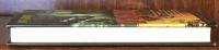 Cirque Du Freak:The Saga of Darren Shan Book 2 (Signed Book)