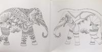 Animal Kingdom: Color Me, Draw Me