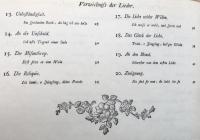 Neue Lieder in Melodien Gesetzt