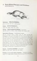 Mammals - Their Latin Names Explained: A Guide to Animal Classification

