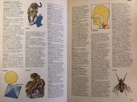 Illustrated Colour Dictionary  in 2 volumes 

