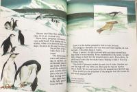 The Young Children's Encyclopedia Volume 12