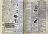 Webster's New International Dictionary of the English Language Second Edition Unabridged