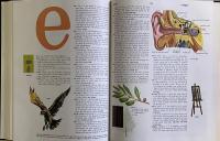 Dictionary of Basic Words(International Horizons Edition)