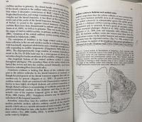 Evolution of the Nervous System  Second Edition