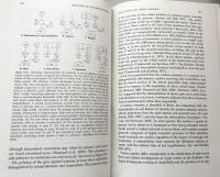 Evolution of the Nervous System  Second Edition