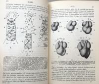 Studies on the Structure and Development of Vertebrates. Volume I. Chapters 1-8 / Volume II. Chapters 9-14.(In Two Volumes)