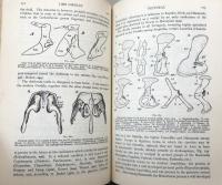 Studies on the Structure and Development of Vertebrates. Volume I. Chapters 1-8 / Volume II. Chapters 9-14.(In Two Volumes)