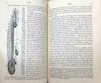 Studies on the Structure and Development of Vertebrates. Volume I. Chapters 1-8 / Volume II. Chapters 9-14.(In Two Volumes)