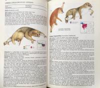 The Kingdon Field Guide to African Mammals 


