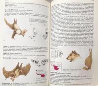 The Kingdon Field Guide to African Mammals 

