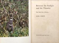 Between the Sunlight and the Thunder : The Wild Life of Kenya