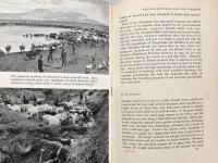 Between the Sunlight and the Thunder : The Wild Life of Kenya