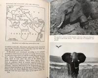 Between the Sunlight and the Thunder : The Wild Life of Kenya