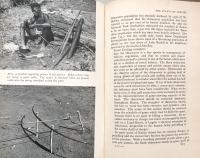 Between the Sunlight and the Thunder : The Wild Life of Kenya