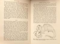 Mongooses: Their natural history and behaviour
