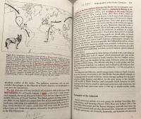 Carnivore Behavior, Ecology, and Evolution, Volume 2

