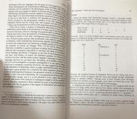 Language and History in Viking Age England: Linguistic Relations Between Speakers of Old Norse and Old English (Studies in the Early Middle Ages)

