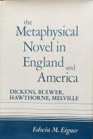 The Metaphysical Novel in England and America