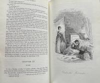 Little Dorrit (The Clarendon Dickens)