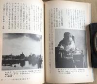 名画の修復：保存・復元が明かす絵画の本質（BLUE BACKS)