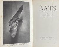 Bats