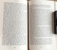 Adam Bede(Everyman's Library 59)