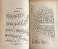 Einführung in die wissenschaftliche Betrachtung der Sprache. Beiträge zur Methode und Terminologie der Grammatik