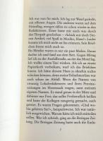 Mexikanische Novelle