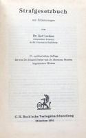 Strafgesetzbuch mit Erläuterungen: 10.,neubearbeitete Auflage