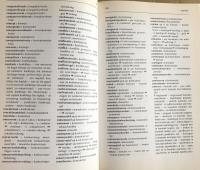 Juridisch woordenboek Nederlands-Fries
