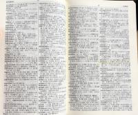 新伊和辞典　増訂版