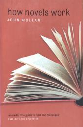 How Novels Work