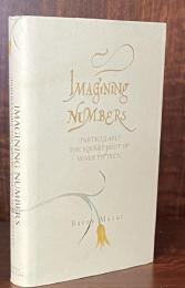 Imagining Numbers: Particularly the Square Root of Minus Fifteen