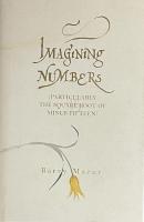 Imagining Numbers: Particularly the Square Root of Minus Fifteen