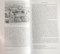 Medieval Ireland (Cambridge Medieval Textbooks)