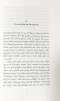 Paul Celan und der chinesische Engel : Roman