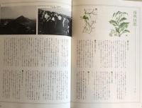 A HISTORY OF JAPAN　日本の歴史　鎮守の森　全7巻揃