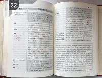 ビジュアル英文解釈 Part Ⅰ（駿台レクチャー叢書）