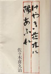 けやき並木に陽あふれ