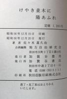 けやき並木に陽あふれ