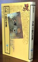 少年小説の世界（角川選書166)