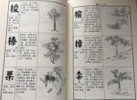 澄衷蒙学堂字课图说（繁体横排点校本）　上・下
